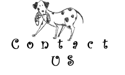 Professional Pet Sitting and Dog Walking Services