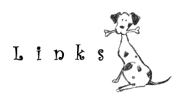 Professional Pet Sitting and Dog Walking Services